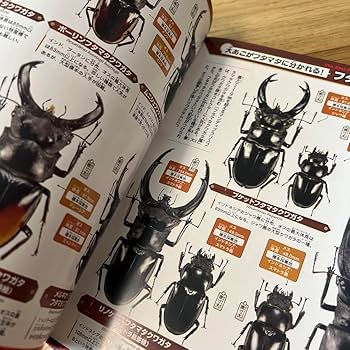 お値下げ終了01113 カタゾウムシ　12頭セットＣ ゼット（ZETT）（キッズ）少年軟式用バット 野球 ジュニア GODA
